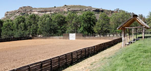 poloafrica arena polo field