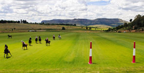 poloafrica polo field