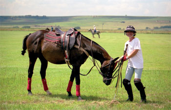 horse and rider