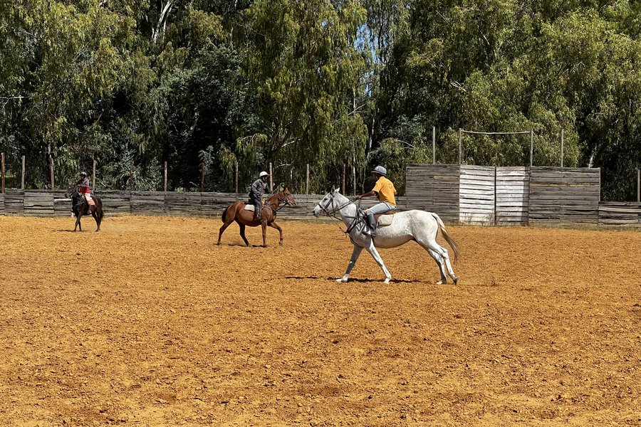 Scholars in the arena