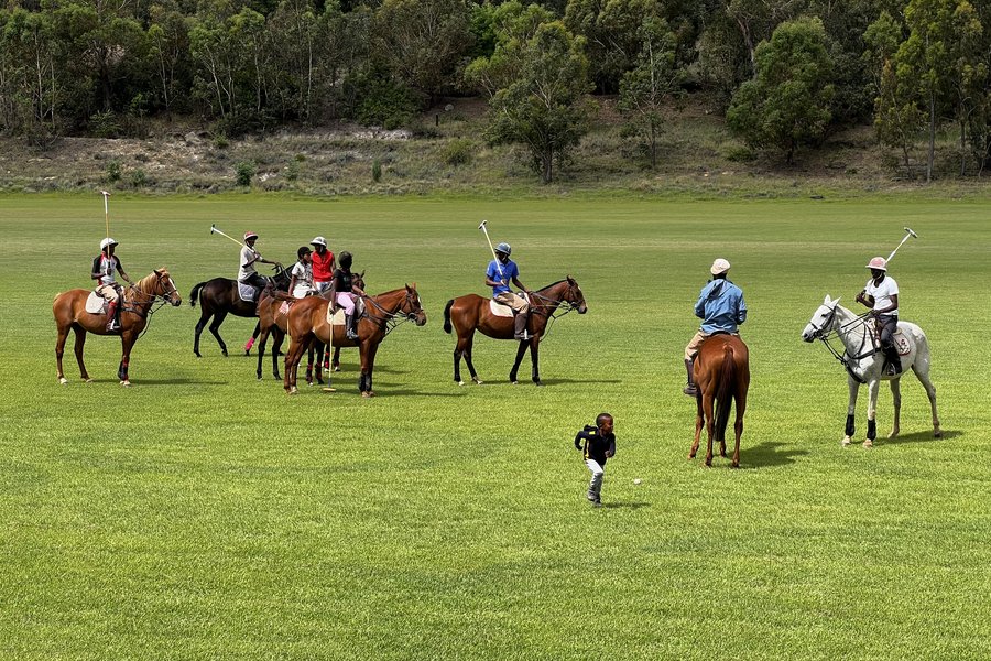 Practice chukkas