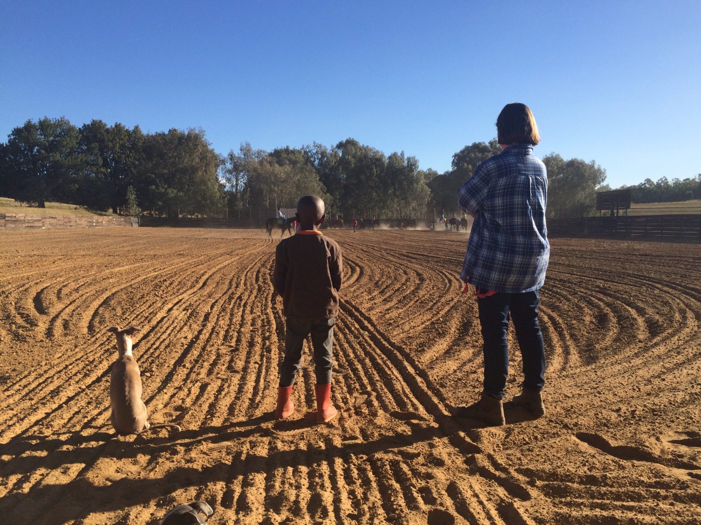 Watching schooling in the arena